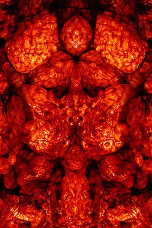 Symmetrie