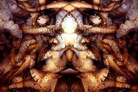 Symmetrie